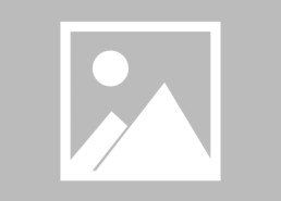 jiuyou九游娱乐-世俱杯球员技术细节执行能力与整体战术融合表现对比